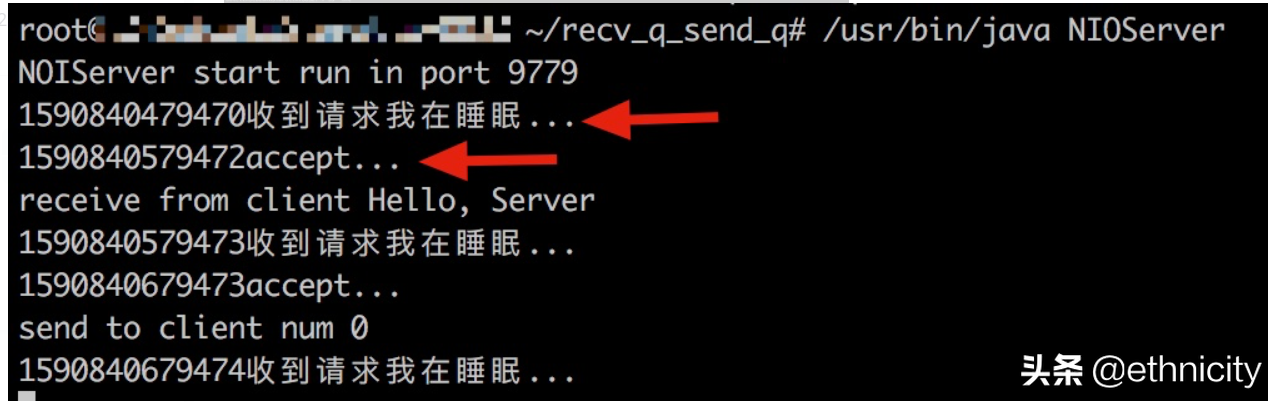 「TCP」Recv-Q和Send-Q(转载)