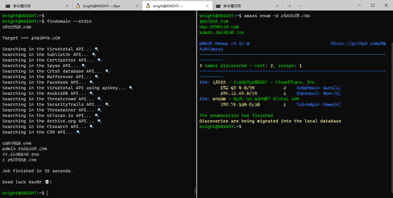 cmd-enum-subdomain