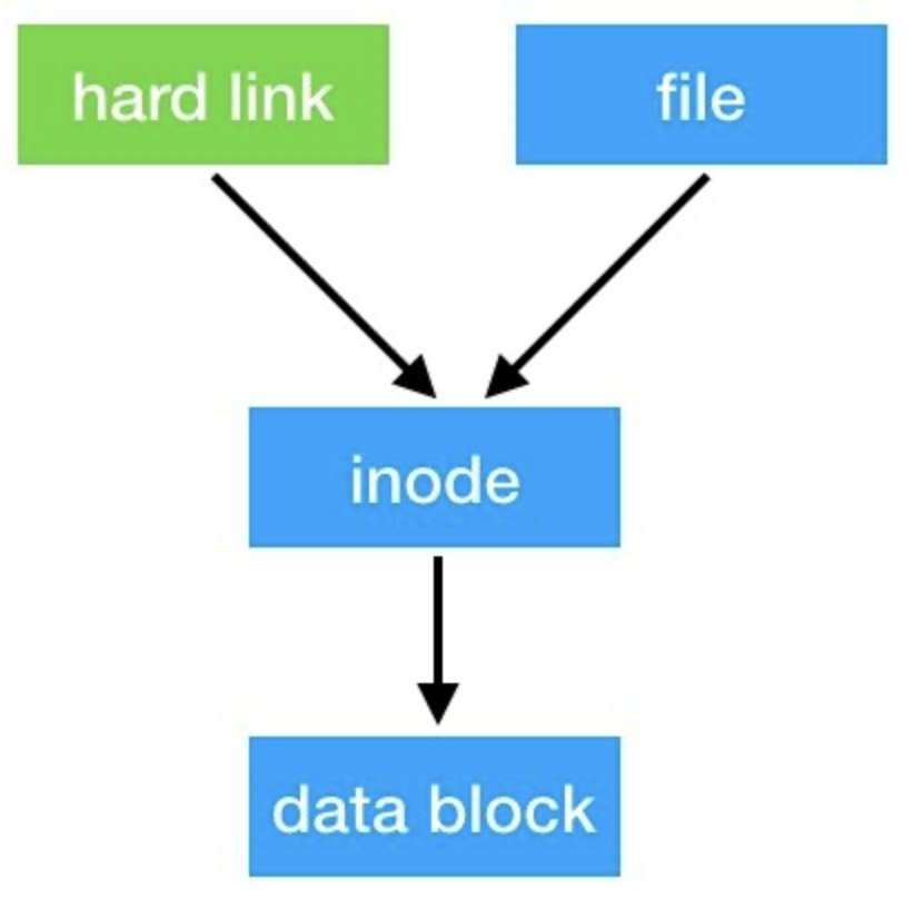 Linux-文件管理