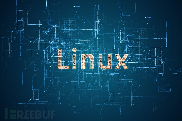 VirtFuzz：<span style='color:red;'>一</span><span style='color:red;'>款</span><span style='color:red;'>基于</span>VirtIO<span style='color:red;'>的</span>Linux内核<span style='color:red;'>模糊</span><span style='color:red;'>测试</span>工具