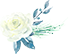fc1787b01ba5b4be809fb6ba3fcf3c55.png