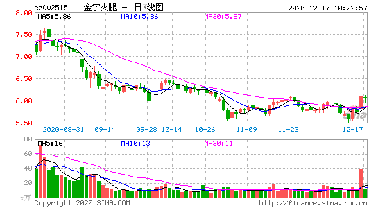 002515-金字火腿