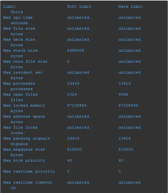 图 3-4 Linux 进程限制示例