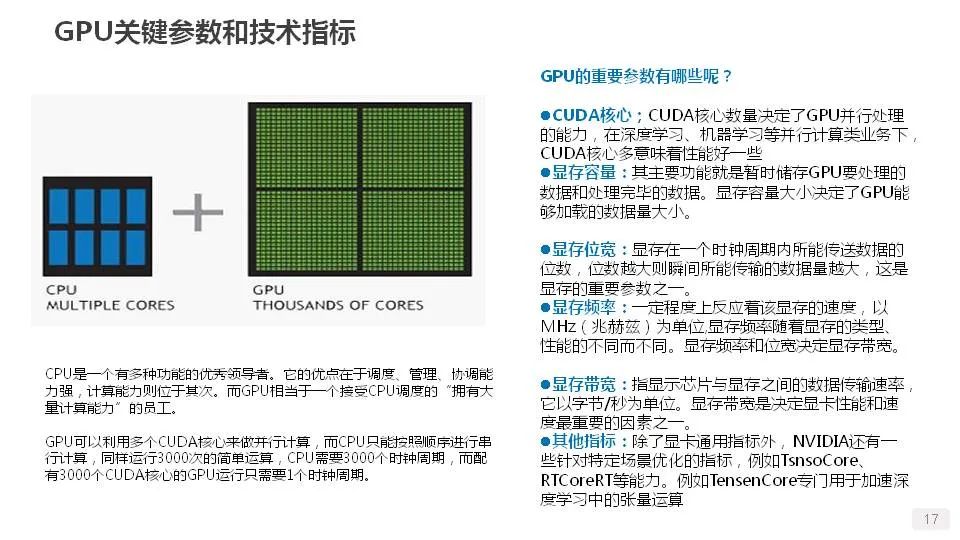 内存、CPU、显存、GPU