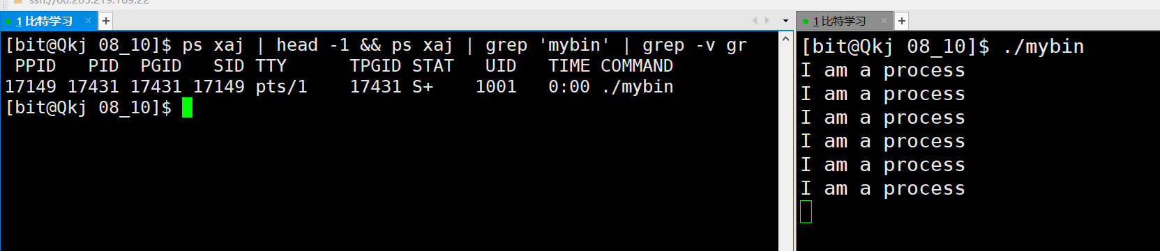 image-20220810110855344