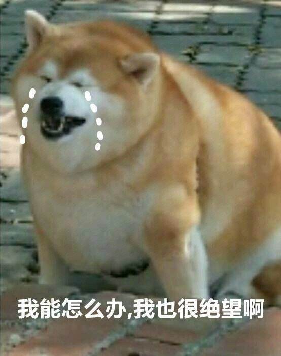 【2022第十三届蓝桥杯】c/c++ 大学c组 解题报告