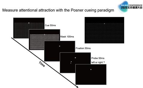 北大心理与认知学院院长方方：人类注意力图和动态机制