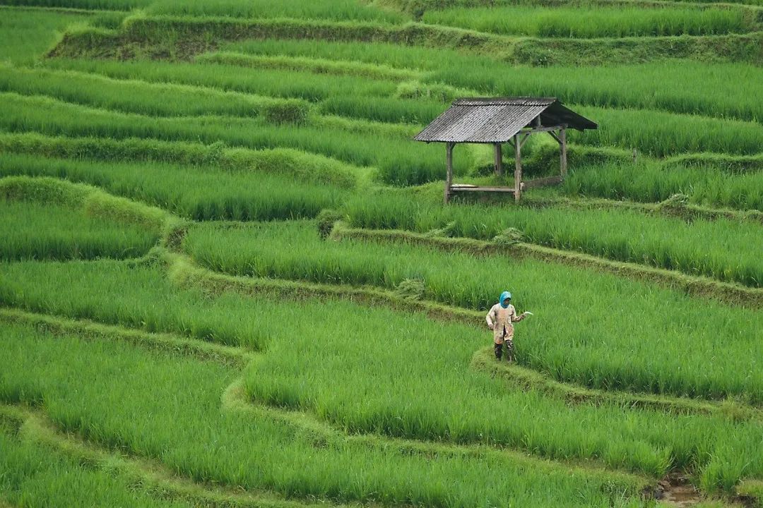 中年人，都被 “大方” 给拖垮了