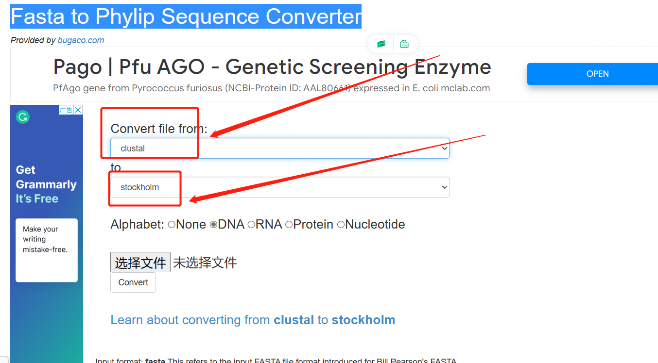 使用Hmmer寻找同源基因_在虚拟机中进行同源基因的查找-CSDN博客