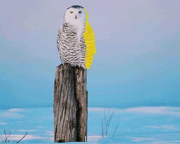 fcb631bb7c908278efaa5b75903e1930.gif