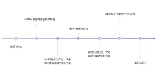 不止提升免疫力？NMN或可预防、缓解支原体肺炎造成的肺部损伤