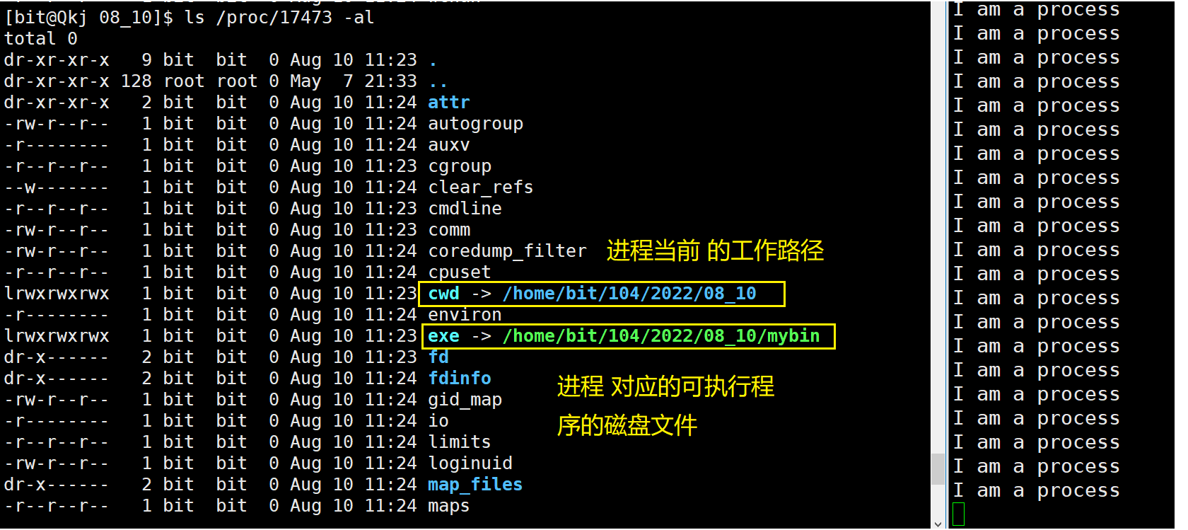 image-20220810113828406