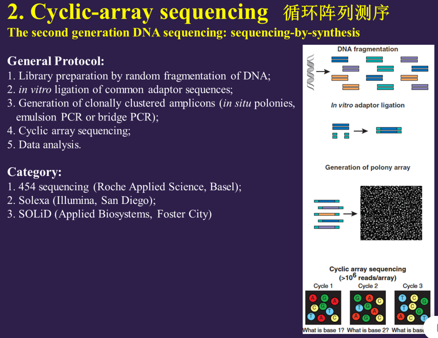 生物信息学Bioinformatics学习笔记(三)-高通量测序_桑格测序和马克_cling5899的博客-CSDN博客