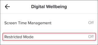 Tap "Restricted Mode."