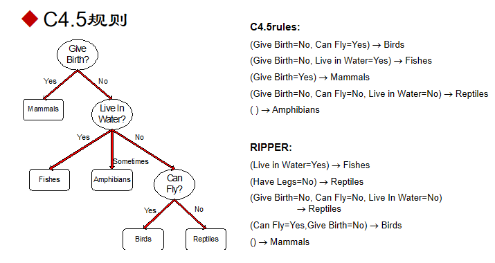 image-20241110124059078