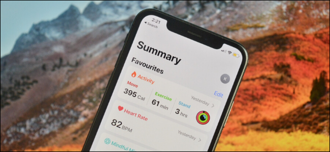 Showing Health Summary Favorites on iPhone