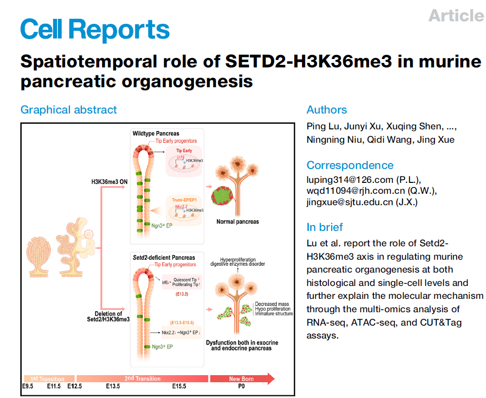 CUT&Tag与ATACseq联手，解析表观遗传机制_cuttag atacseqCSDN博客