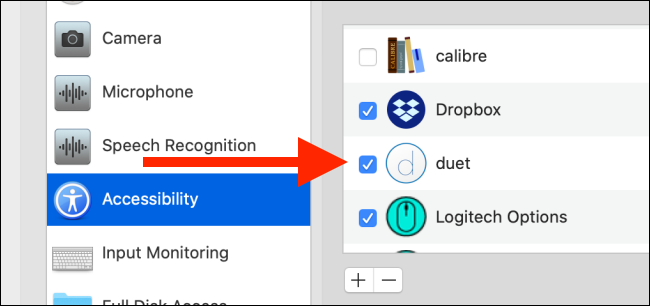 Click "Accessibility," and then click the box next to "Duet."