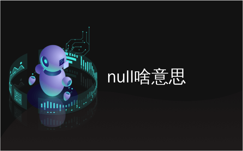 null啥意思