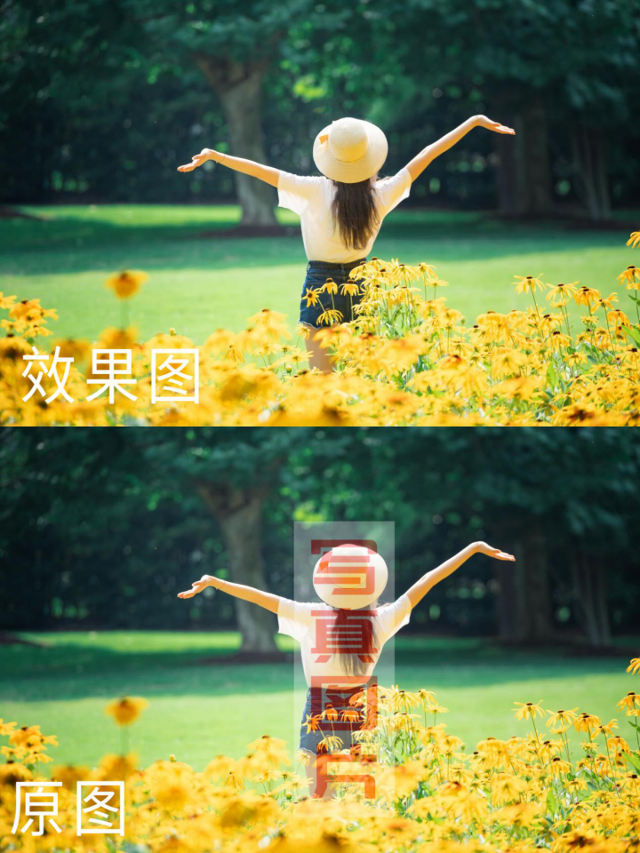 fecc7dd51c9ef3155e31edf62c582e91.png