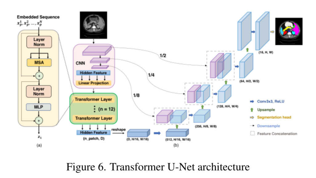 U-Net网络变形综述