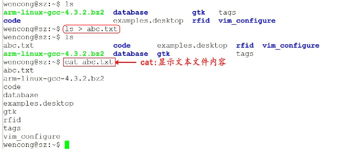 Linux常用命令_当前目录_08