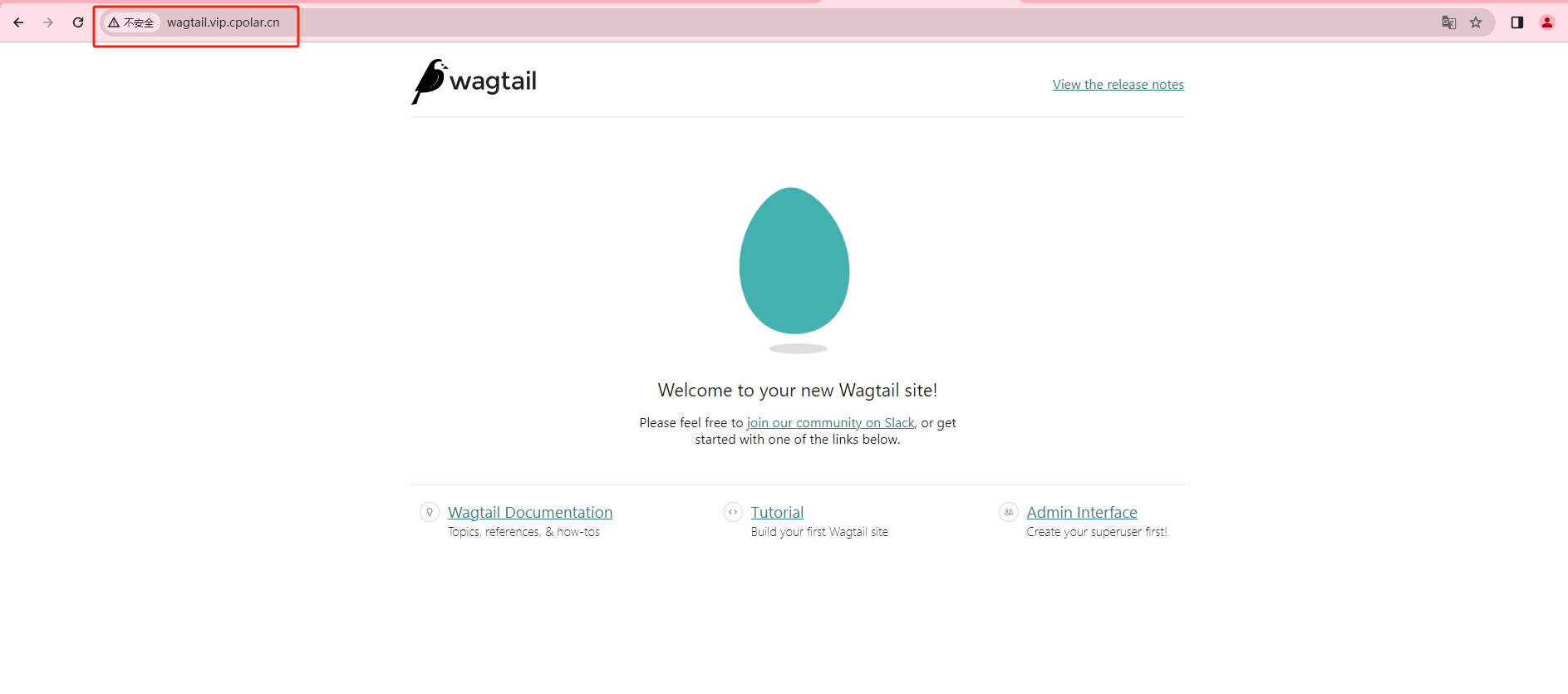 Wagtail-基于Python Django的内容管理系统CMS实现公网访问