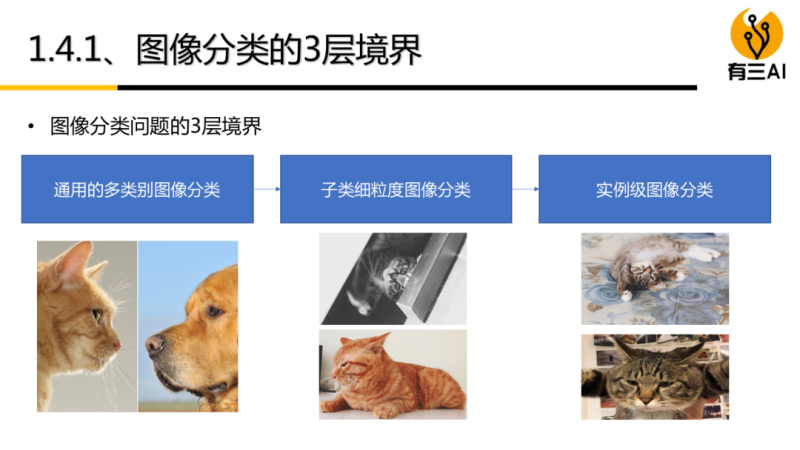 【直播】图像分类课程第03期,基于自监督的图像特征表示方法(5月15日