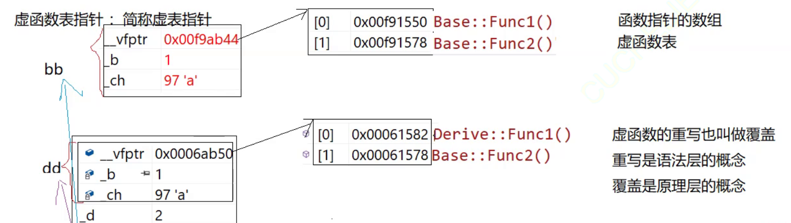 【C++初阶】多态