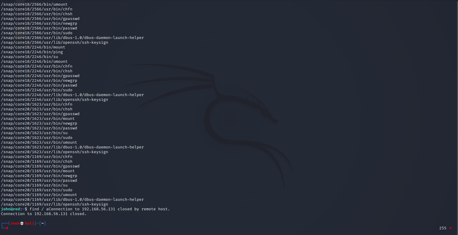 image-20221004015024409