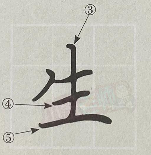 常見筆順錯誤的字最全漢字筆順正確寫法建議家長為孩子收藏