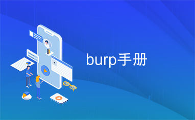 burp手册