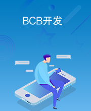 BCB开发