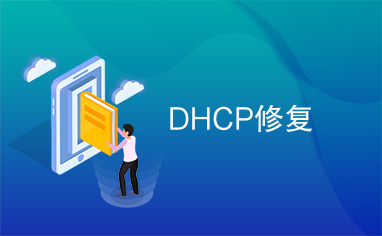 DHCP修复