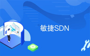 敏捷SDN
