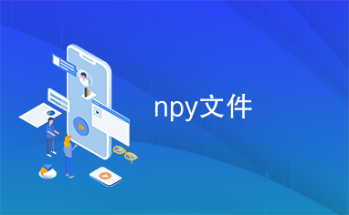 npy文件