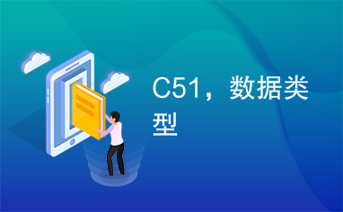 C51，数据类型