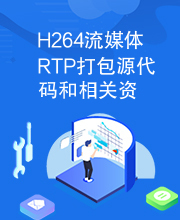 H264流媒体RTP打包源代码和相关资料.rar