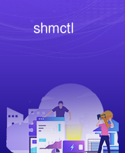 shmctl