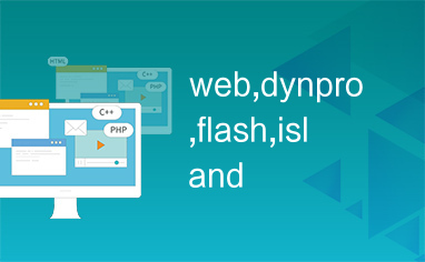 web,dynpro,flash,island