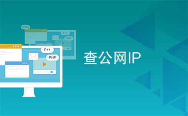 查公网IP