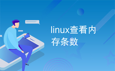 linux查看内存条数