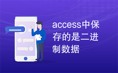 access中保存的是二进制数据