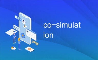 co-simulation