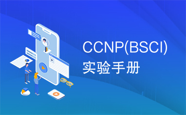 CCNP(BSCI)实验手册