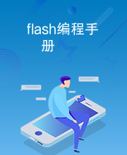 flash编程手册