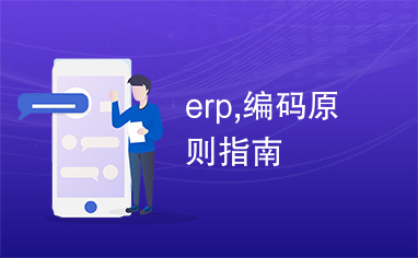 erp,编码原则指南