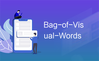 Bag-of-Visual-Words