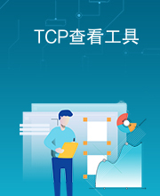 TCP查看工具