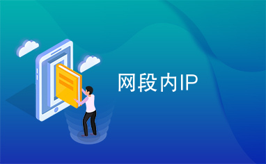 网段内IP